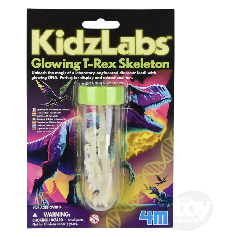 4M Glowing T-Rex Skeleton Science Kit – Assemble & Illuminate A Radiant Dinosaur Model 1
