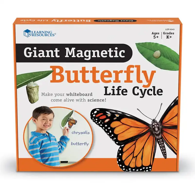Learning Resources Giant Magnetic Butterfly Life Cycle Model For Kids 1