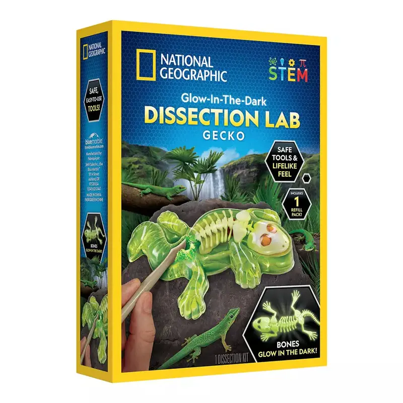 National Geographic Glow-In-The-Dark Gecko Dissection Science Kit 1