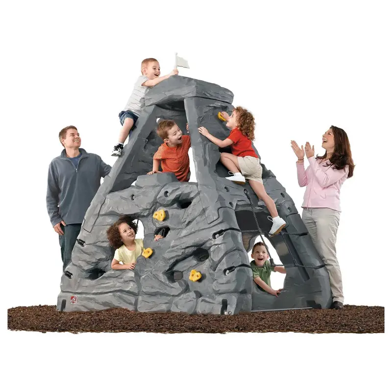 Step2 Skyward Summit Climbing And Sliding Playset 1